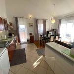 Rent 4 bedroom apartment of 113 m² in Primorsko-goranska