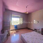 Rent 4 bedroom apartment of 80 m² in Porto San Giorgio