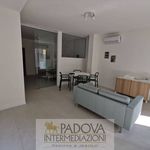 Affitto 1 camera appartamento di 47 m² in Padova