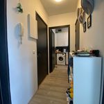 Rent 2 bedroom apartment of 40 m² in Utrecht