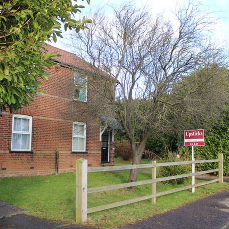 Studio to rent in Webbs Cottages, Main Road, Ingatestone, Essex CM49Hx CM4 Margaretting