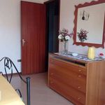 Rent 3 bedroom apartment of 116 m² in Marsala