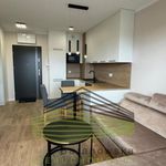 Rent 2 bedroom apartment of 39 m² in Gorzów Wielkopolski