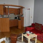 Rent 2 bedroom apartment of 54 m² in Opava