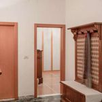 Rent 1 bedroom apartment of 80 m² in Bologna