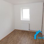 Rent 1 bedroom apartment of 25 m² in Děčín