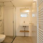 Rent 1 bedroom house of 126 m² in Arnhem