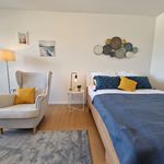 Rent 1 bedroom apartment of 33 m² in Mainz