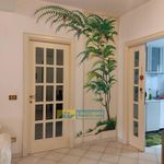 Rent 4 bedroom apartment of 120 m² in Chieti