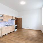 Rent 1 bedroom apartment of 47 m² in Chrudim