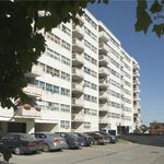 Appartement de 947 m² avec 2 chambre(s) en location à Brampton