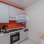 Rent 3 bedroom apartment of 85 m² in San Maurizio