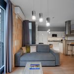 Rent 1 bedroom apartment of 40 m² in Dresden