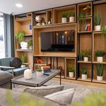 Rent 1 bedroom student apartment of 24 m² in Brighton