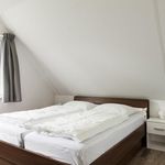 Rent 4 bedroom house in Vlagtwedde