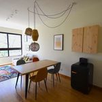 Rent 1 bedroom apartment in Oeiras
