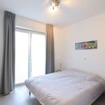 Huur 2 slaapkamer appartement van 78 m² in Etterbeek