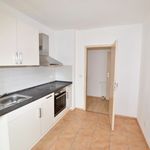 Miete 2 Schlafzimmer wohnung von 51 m² in Chemnitz