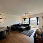 Rent 1 bedroom apartment in Borsbeek