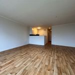 Rent 2 bedroom apartment of 92 m² in Wetteren