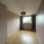 Rent 4 bedroom apartment of 67 m² in Lyon