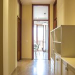 Affitto 1 camera appartamento di 21 m² in Brugherio