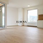 Pronajměte si 1 ložnic/e byt o rozloze 36 m² v Hradec Králové