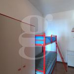 Rent 2 bedroom apartment of 45 m² in Nettuno