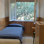 Affitto 7 camera appartamento di 130 m² in Castagneto Carducci