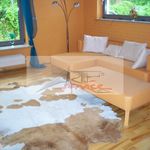 Wynajmij 10 sypialnię dom z 500 m² w Dobrcz