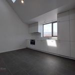 Rent 1 bedroom apartment of 60 m² in LEUVEN