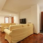 Rent a room of 275 m² in Madrid
