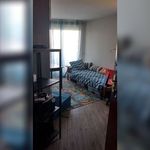 Rent 1 bedroom apartment in PESSAC