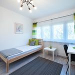 Rent 2 bedroom apartment in Łódź