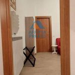 Rent 1 bedroom apartment of 75 m² in Castelnuovo di Val di Cecina