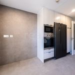 Rent 2 bedroom apartment of 132 m² in Terradillos