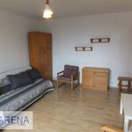 Rent 1 bedroom apartment of 30 m² in Będzin