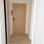 Rent 1 bedroom apartment of 28 m² in Bruntál