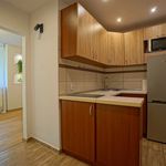 Rent 1 bedroom apartment of 20 m² in Zabrze