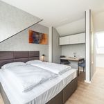 Rent 1 bedroom apartment of 22 m² in Bielefeld