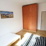 Rent a room in Łódź