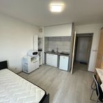 Rent 1 bedroom apartment of 20 m² in Metz