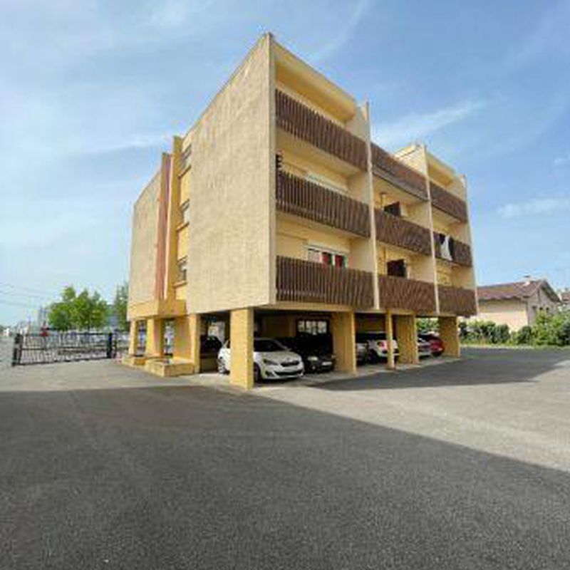 Location - Appartement - 1 pièces - 32.00 m² - montauban