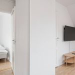 Rent 3 bedroom apartment of 50 m² in Bergen