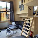 Rent 1 bedroom house in Harderwijk