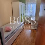 Rent 4 bedroom apartment of 110 m² in Rijeka
