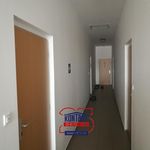 Rent 1 bedroom apartment of 25 m² in České Budějovice