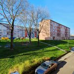 Rent 2 bedroom apartment of 61 m² in Habartov