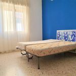 Affitto 3 camera appartamento di 110 m² in Catanzaro