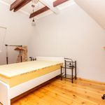 Wynajmij 4 sypialnię apartament z 95 m² w Szczecin